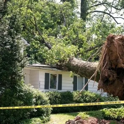 Storm & Wind Damage Repair Services in Jefferson County, AL